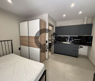 Studio/Γκαρσονιέρα για ενοικίαση Λασπότοπος (Ιωάννινα) - Φωτογραφία 3