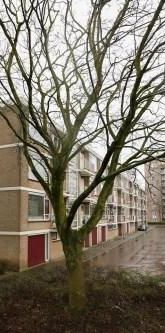 Topaasstraat 0ong, 6534 ZH Nijmegen, Nederland - Foto 1