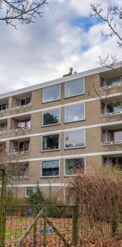 Cesar Franckstraat, 2324 JM Leiden, Nederland - Foto 1
