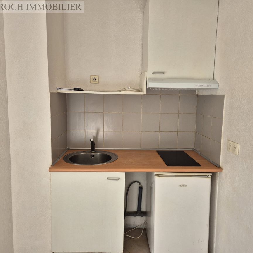 Location Appartement 1 pièce 20m² NICE 06000 - Photo 1