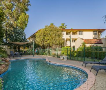Bright and Peaceful Apartment in Churchlands - Photo 2