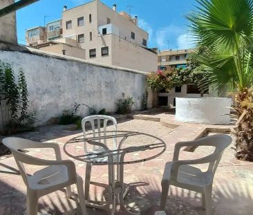 San Vicente Del Raspeig / Sant Vicent Del Raspeig - Photo 1