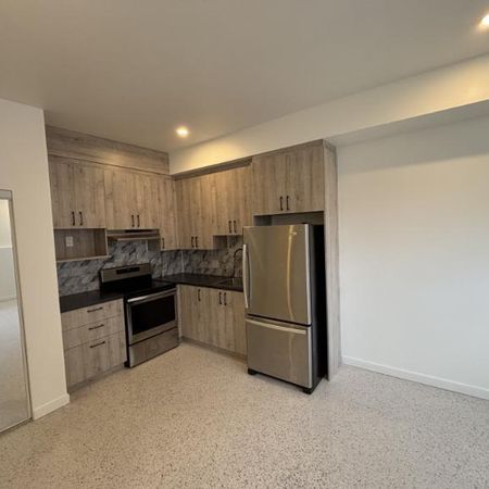 1 1/2 - Montréal (Saint-Henri) - 975 $/mois - Photo 3