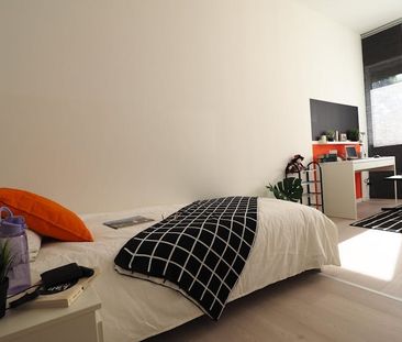 Corso Massimo dAzeglio, Turin, Piedmont 10126 - Photo 3