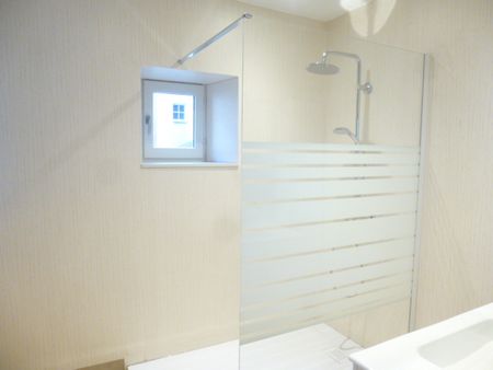 Location Appartement 2 pièces 97m² LE PUY EN VELAY 43000 - Photo 5