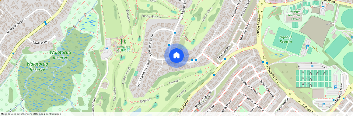 78 Panapa Drive, Saint Johns, Auckland City