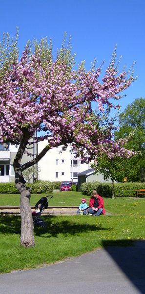 Klingsbergsgatan 40 A, Såpkullen - Foto 1