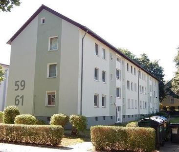2,5-Zimmer-Wohnung im EG, neu renoviert! - Photo 1