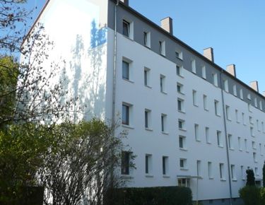 Spaziergänge im Robert-Koch-Park genießen - Foto 1