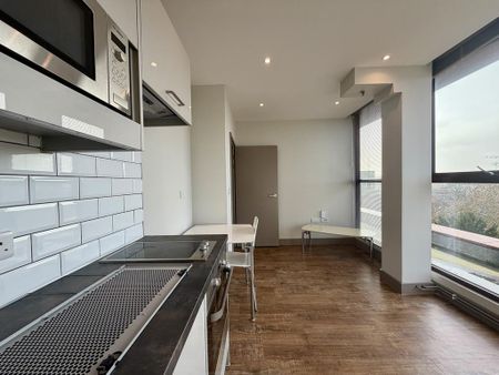 1 bedroom flat to rent - Photo 3