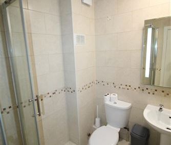 Parkview Mansions, Harold's Cross, Dublin 6W, D6WX258 - Photo 3