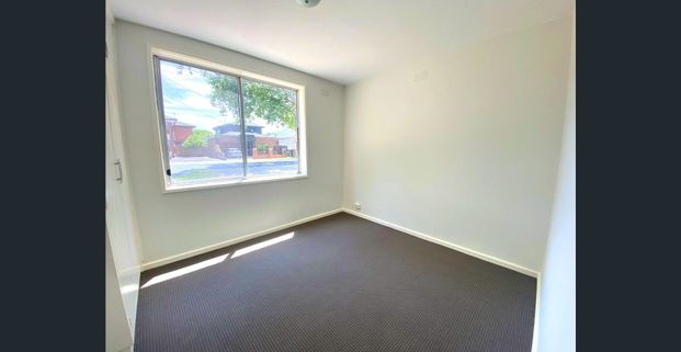 SPACIOUS TWO BEDROOM IN LEAFY TREE-LINED STREET - Photo 1