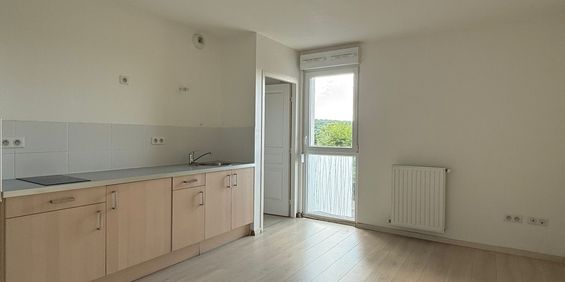 STUDIO DE 25m2 VANDOEUVRE PROCHE JARDIN BOTANIQUE - Photo 3