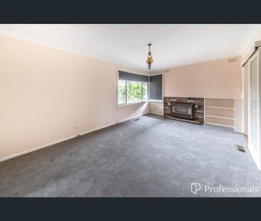 41 Plover St, Melton, Vic 3337 - Photo 4