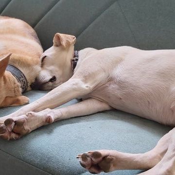 Room in a Shared House, Amesbury Ave, SW2 - Photo 1
