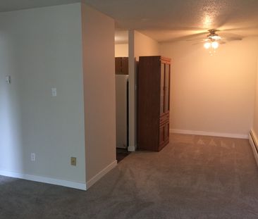 1 BEDROOM ON THE 3RD FLOOR!! DOWNTOWN RED DEER!! - Photo 6