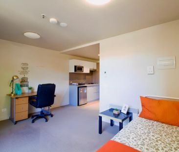 Large Studio - Photo 6