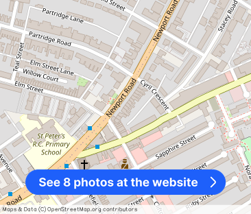 Newport Road, Roath, Cardiff - Photo 1