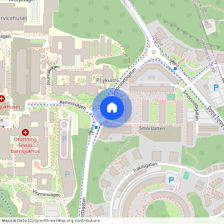 Göteborg, Smörslottsgatan, 10, 41650