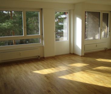 Chill-Modus On: Dein neues Zuhause in Arlesheim wartet! - Foto 3