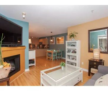 Walnut Gove Yaletown Condo! | 8929 202 Street, Langley Township - Photo 1