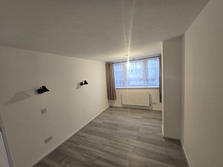 3 Bed Terraced House, Cridland St, E15 - Photo 4