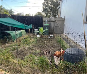 Croydon Park - Photo 4
