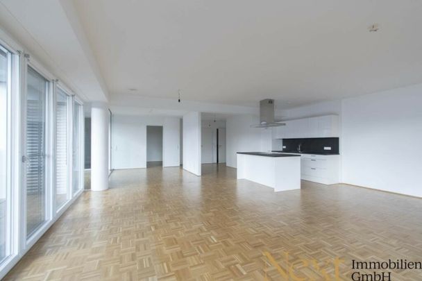 Moderne 2-Zimmer-Loftwohnung mit großzügiger Südterrasse in Linz nähe WIFI zu vermieten! (Top 52) - Photo 1