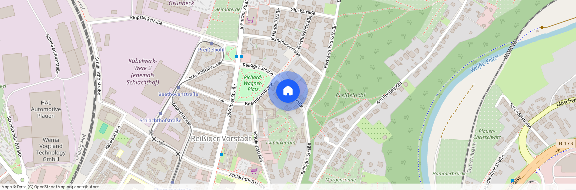 Reißiger Straße 113, 08525 Plauen