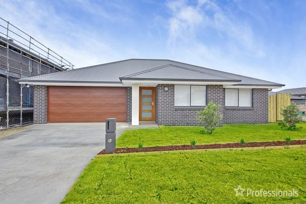 19 Taylor Street, Oran Park NSW 2570 - Photo 1