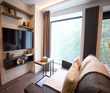 Studio to rent - Photo 4