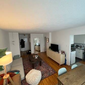 Large pet friendly 1 BED - Photo 3