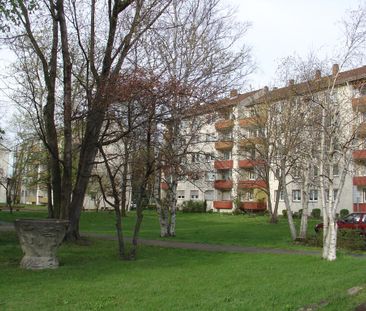 Gemütliche 1-Zimmer-Wohnung in Offenbach - jetzt frei ! - Photo 1