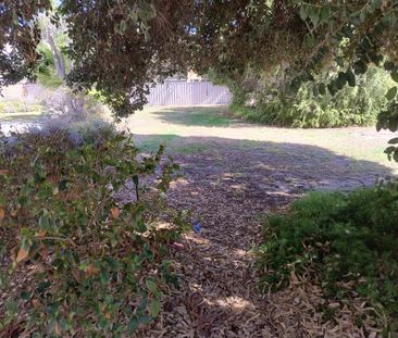 Tuart Hill - Photo 4