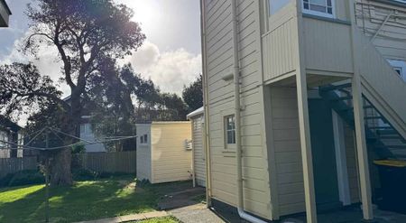 large 1 bedroom in Mt Victoria - Photo 4