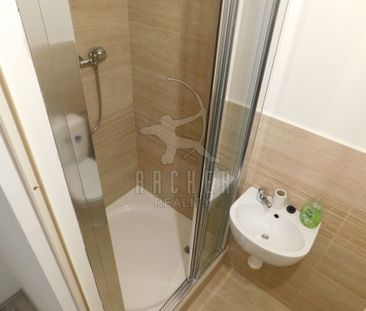 Pronájem bytu 1+kk a garsoniéry 22 m², Pod lipami, Praha - Fotografie 3