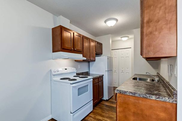 Renovated Suite - 2 Bedroom - Photo 1