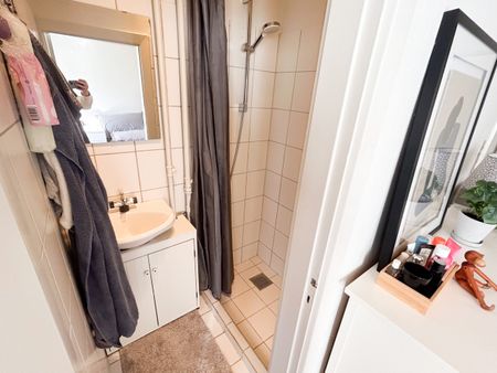 Lys og rummelig 2-værelses lejlighed i Øgadekvarteret - Photo 3