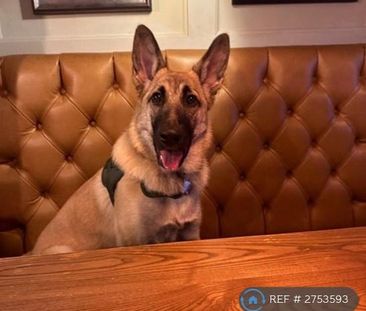 1 bedroom in a house share to rent - Photo 2