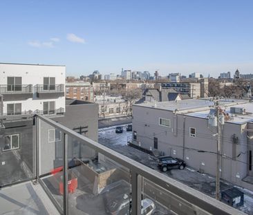 Newcastle: Black Accents – 710 Westminster, Winnipeg, MB - Photo 3