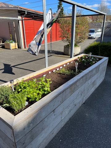 Hyggelig lejlighed i rolige omgivelser tæt på Aalborgs liv - Foto 4