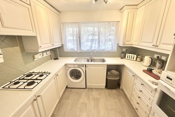 Pine Drive - Photo 1