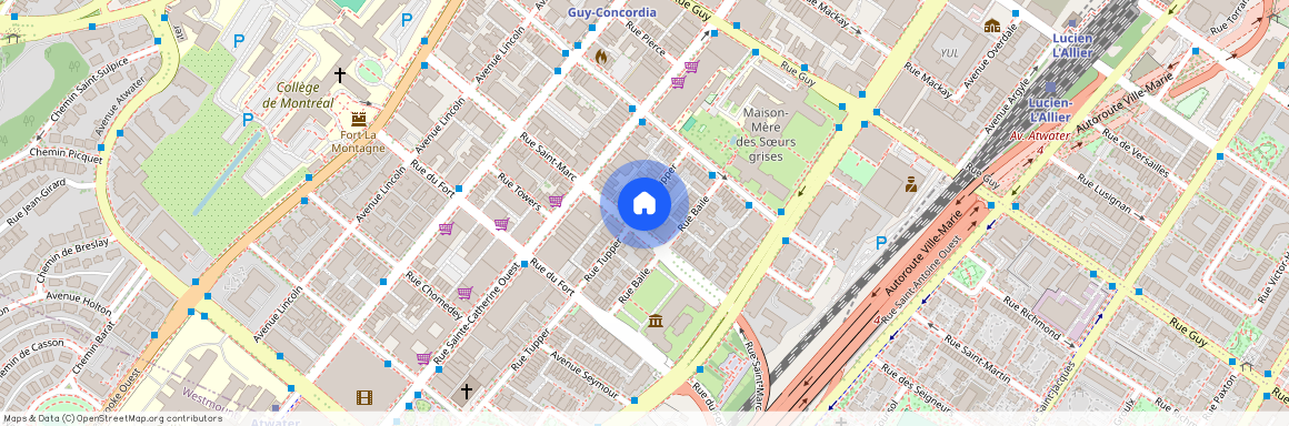 1245 Rue St Marc, Montreal