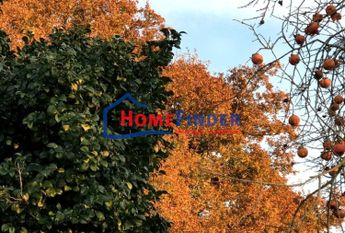 Moradia T3 em Viana do Castelo