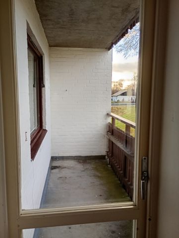 Ekbacken, Asarum - Foto 5