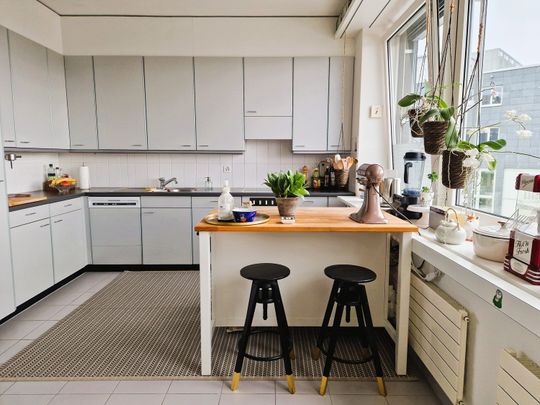 APPARTEMENT DE 3 PIÈCES À LUCERNE, MEUBLÉ, TEMPORAIRE - Photo 1