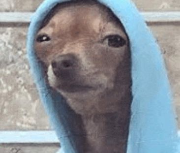 SOS dringend wohnung oder wg zimmer gesucht !!! Bis 600€ warm - Photo 1