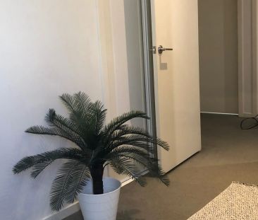 Spacious Room in New Home! - Photo 1