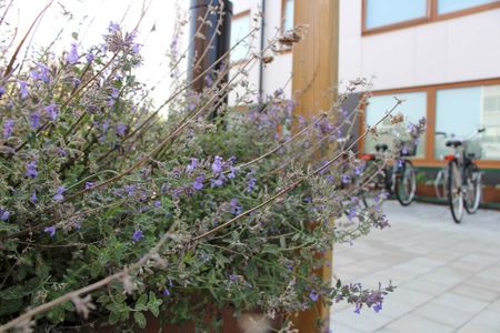 Per Albin Hanssons väg 61E - Foto 2