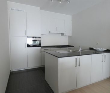 Swat Engelenstraat 46, 2300, Turnhout - Photo 2